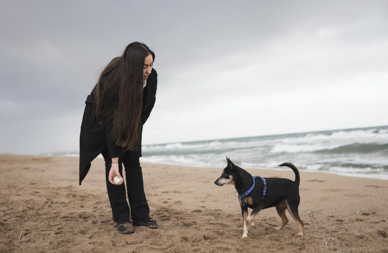 What Is Dog Training: Off-Leash Coaching 101