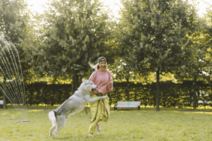 Benefits and Importance of Dog Playtime