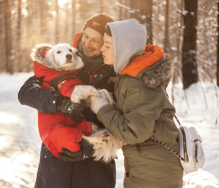 10 Ways To Keep Your Dog Safe and Warm