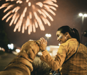 20 Safe and Sound Tips to Protect Dogs from New Year Fireworks